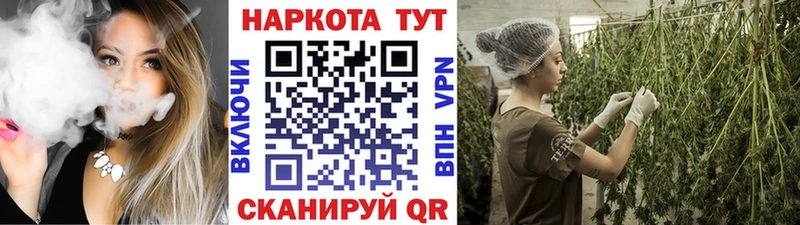 Наркотические вещества Хасавюрт ГАШИШ  Кокаин  МЕФ  Конопля 