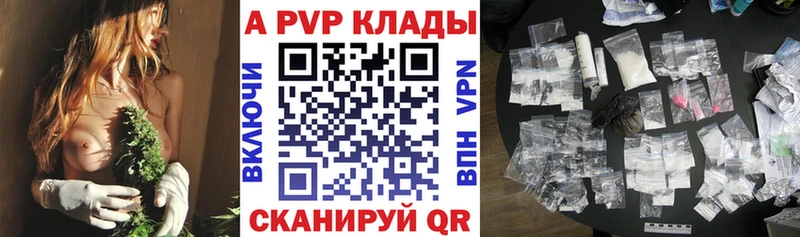как найти закладки Хасавюрт Alpha-PVP СК КРИС