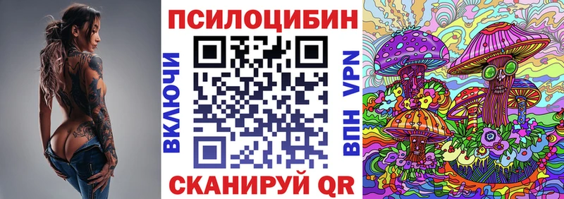 сколько стоит  Хасавюрт  Псилоцибиновые грибы Psilocybine cubensis 