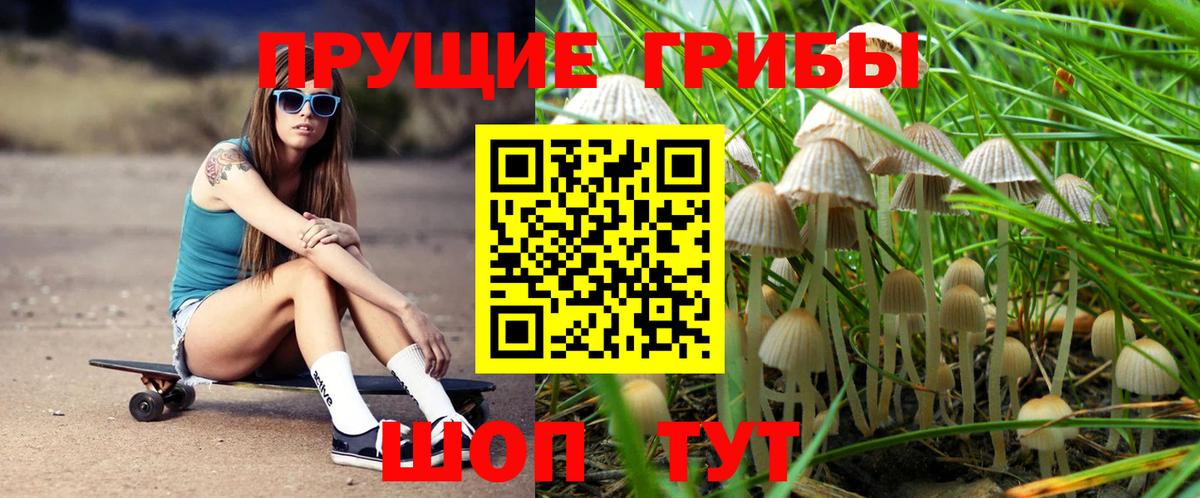 Псилоцибиновые грибы мухоморы  Галлюциногенные грибы Cubensis  Хасавюрт  Вход с VPN 
