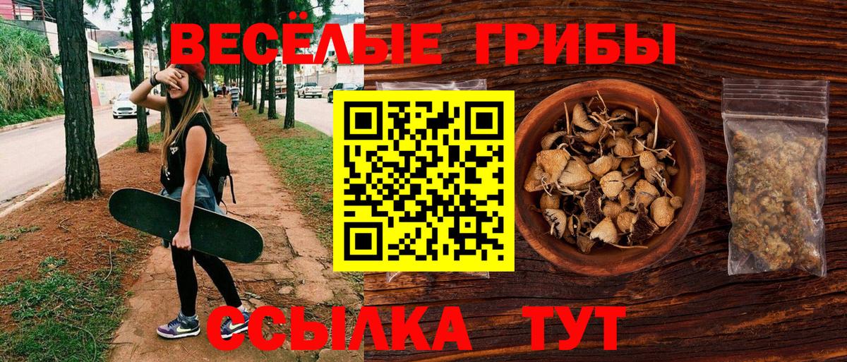 Псилоцибиновые грибы GOLDEN TEACHER Хасавюрт
