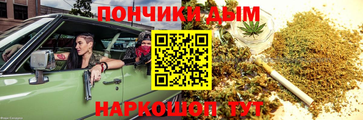 Конопля конопля Хасавюрт